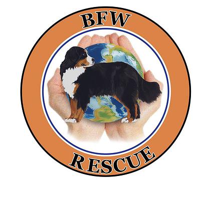 BFW Rescue